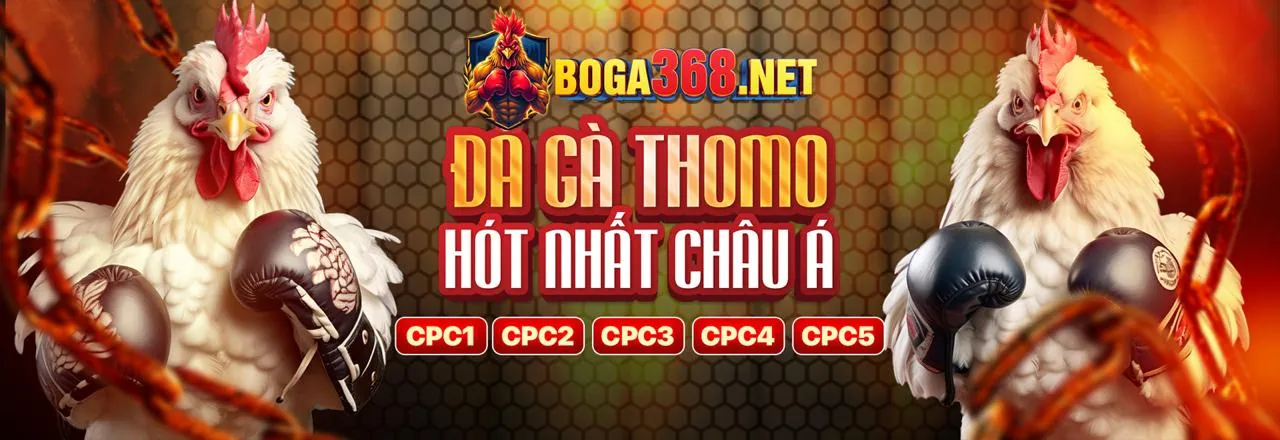 Hướng dẫn chơi game casino cho người mới tại iwin68 info